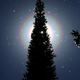 Image for article titled Got Allergies? Must Be Pollen Corona Season Again